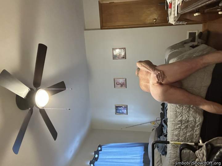 Adult image from jimbobi