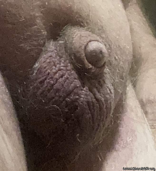 Adult image from Arinn