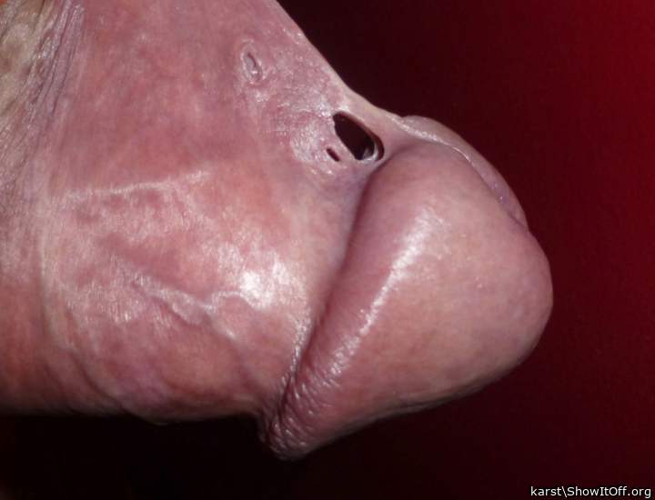 Adult image from karst