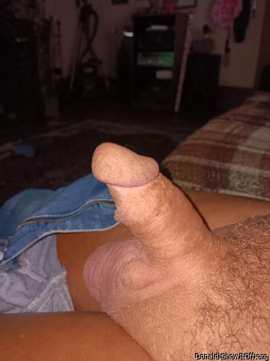 Adult image from Donald