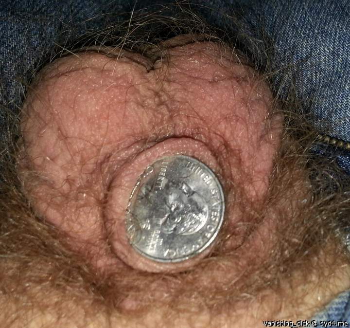 quarter cock