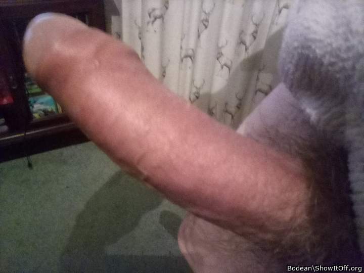 Hot uncut cock  