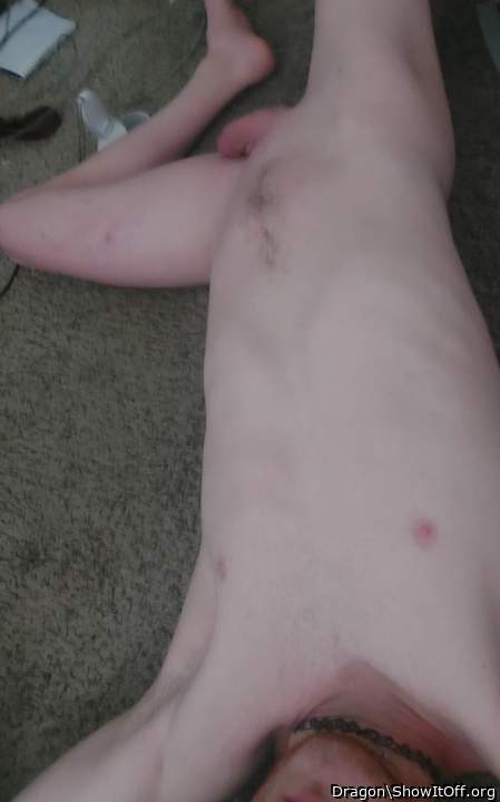 Adult image from Dragon