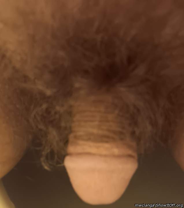 Post more pics mate.