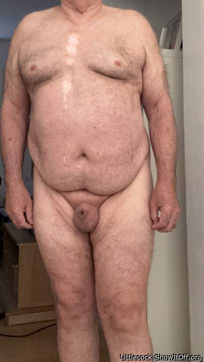 Adult image from Littlecock