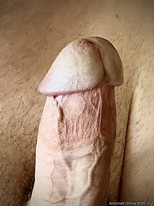 Adult image from Antonek