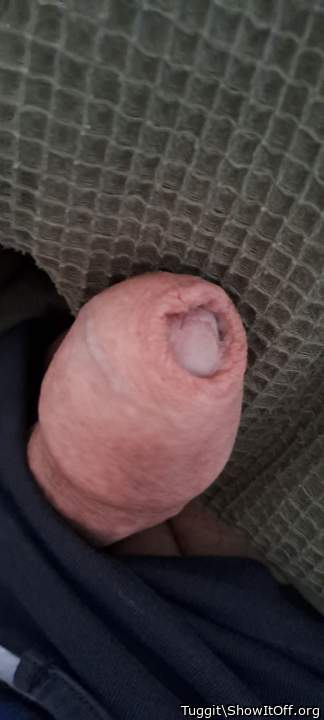 Adult image from Tuggit