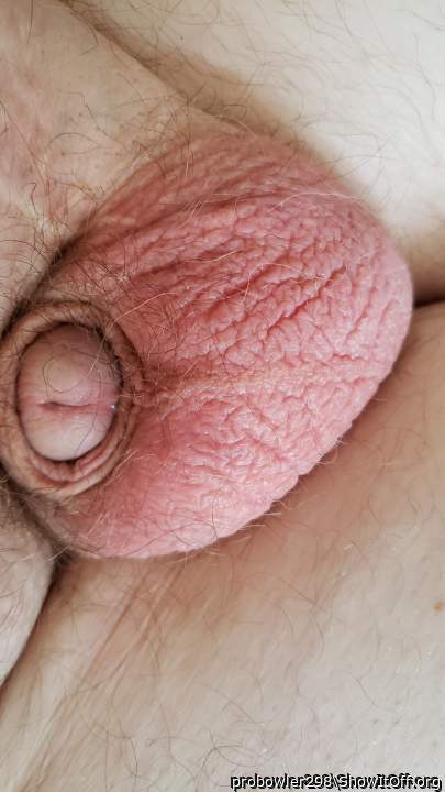 Donny rhine naked and exposed