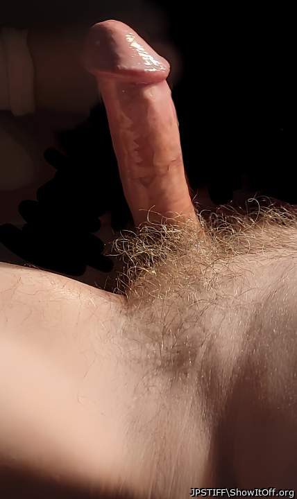 Beautiful, horny penis! Sexy pubes!