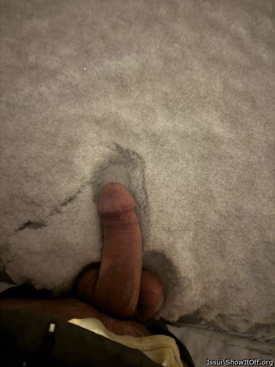 Snow cock