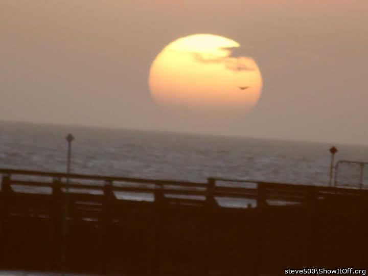 Adult image from steve500