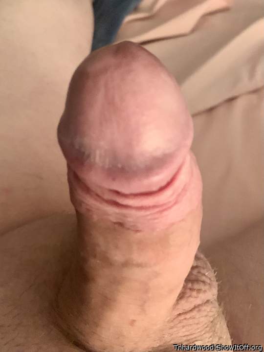 Adult image from Tnhardwood