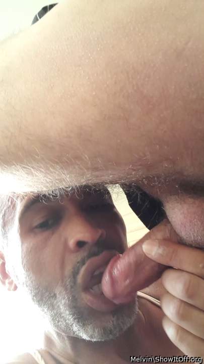 Adult image from Melvin