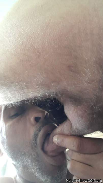 Adult image from Melvin