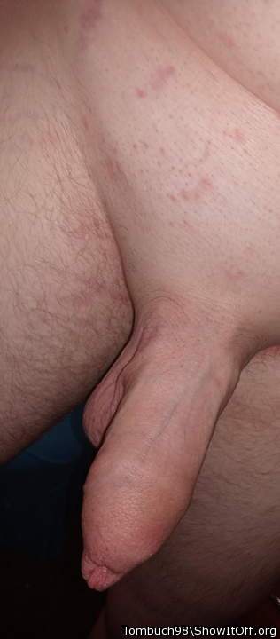 A very nice shaved and uncut cock 
