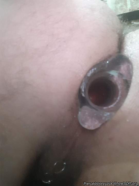 Adult image from Piercedsissycock