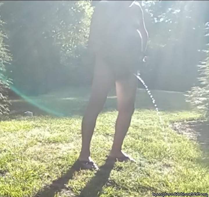 Adult image from Spongiform56