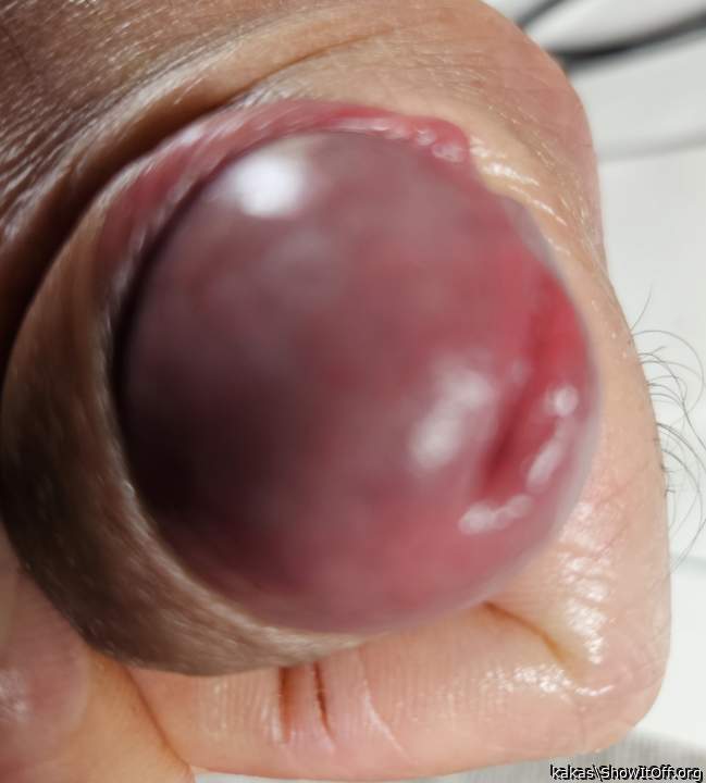 Adult image from kakas