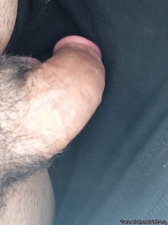 Adult image from Carmel