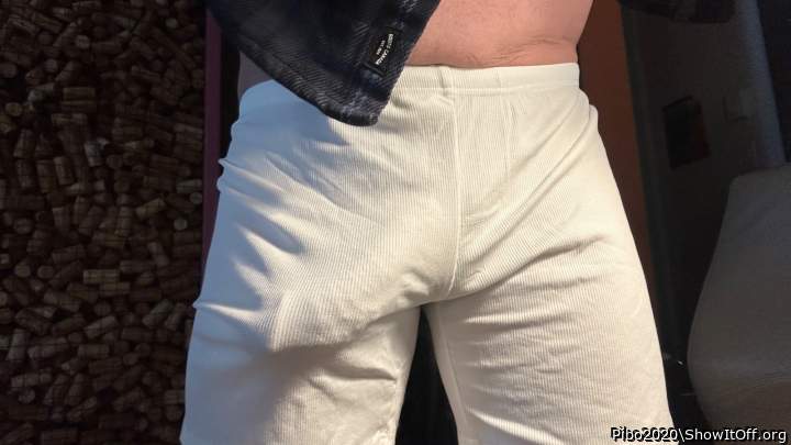 Adult image from Pibo2020