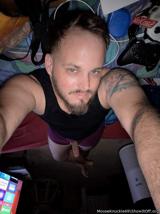 Adult image from MooseKnuckle69