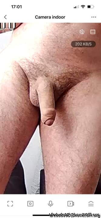 Adult image from Lfcdude05