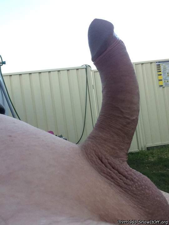 Nicely shaved and beautifully erect