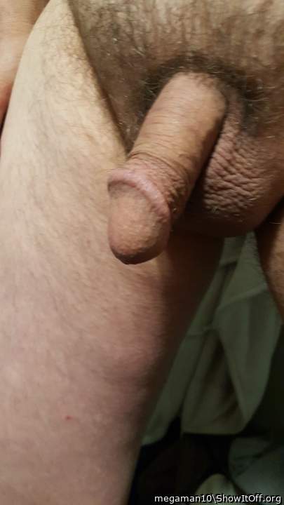 Adult image from megaman10