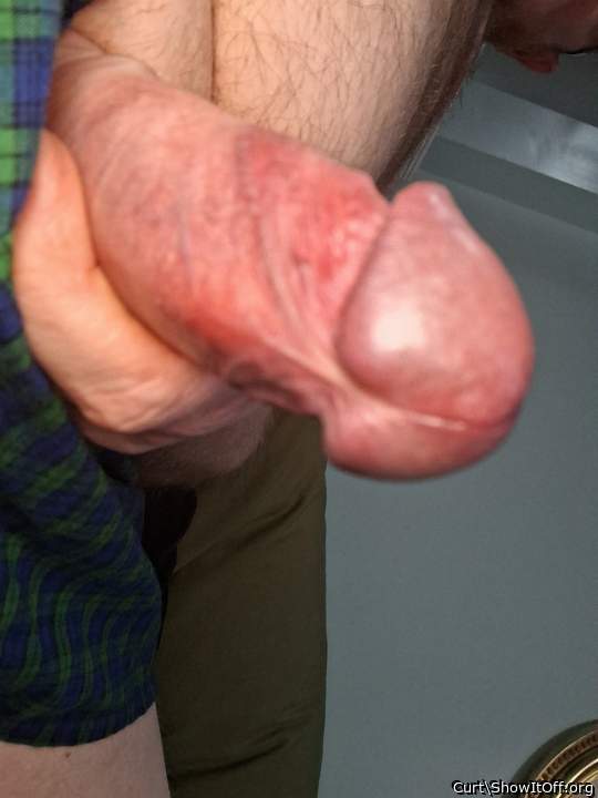 Adult image from Curt