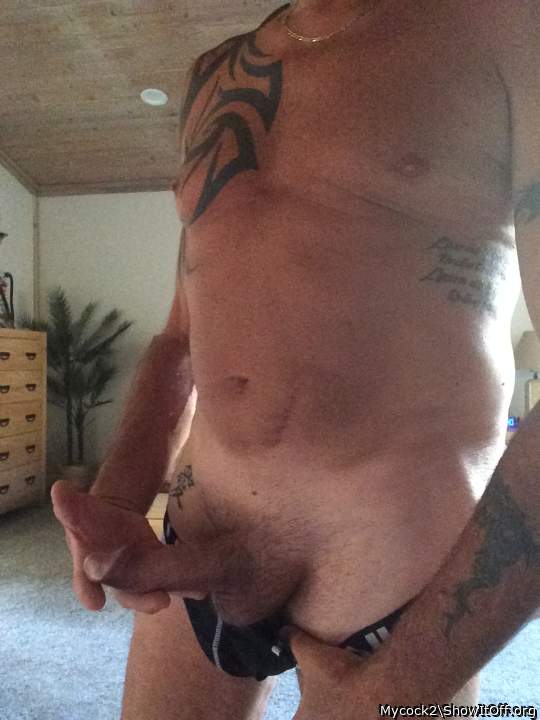 Adult image from Mycock2