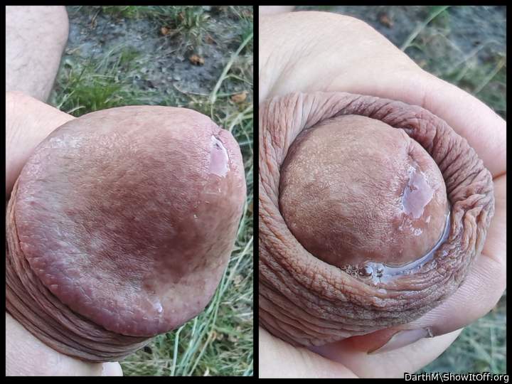 Precum on cockshead