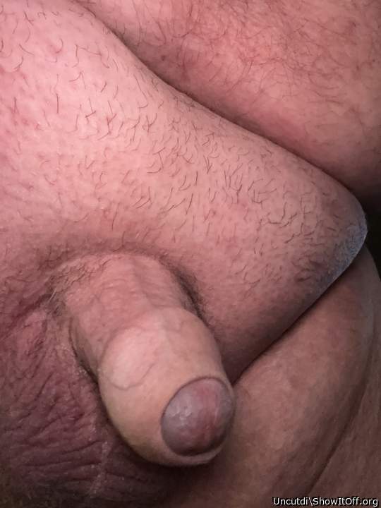 Adult image from Uncutdi