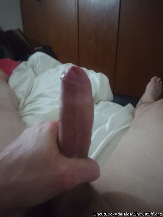 Adult image from UncutCockAdelaide