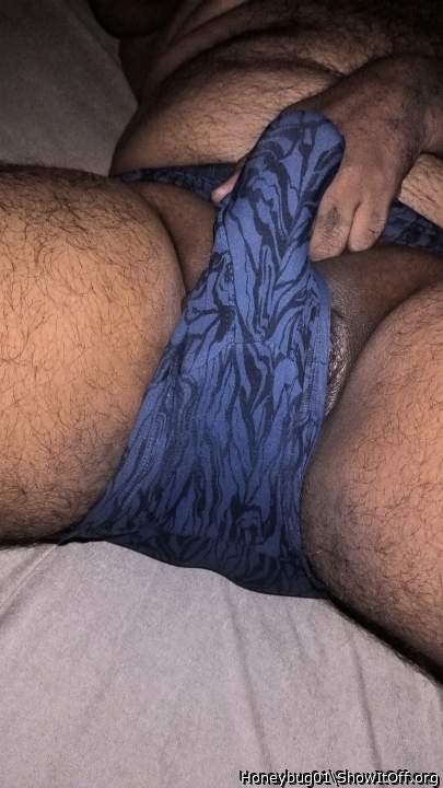 Adult image from Honeybug01