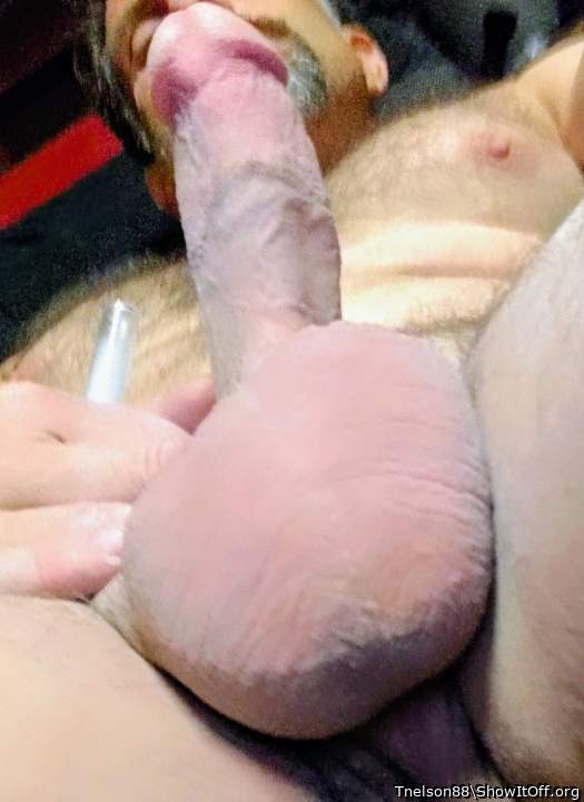 Adult image from Tnelson88