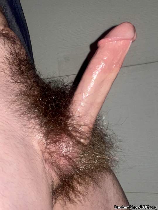 Big Hairy Dick