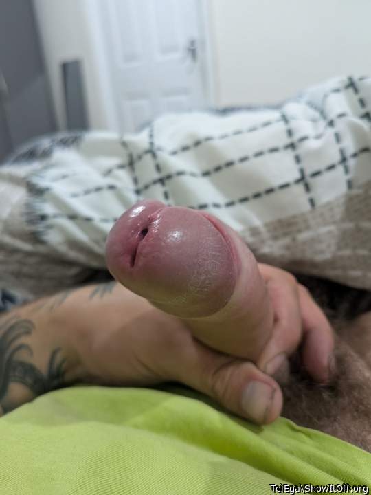 Adult image from TeiEga