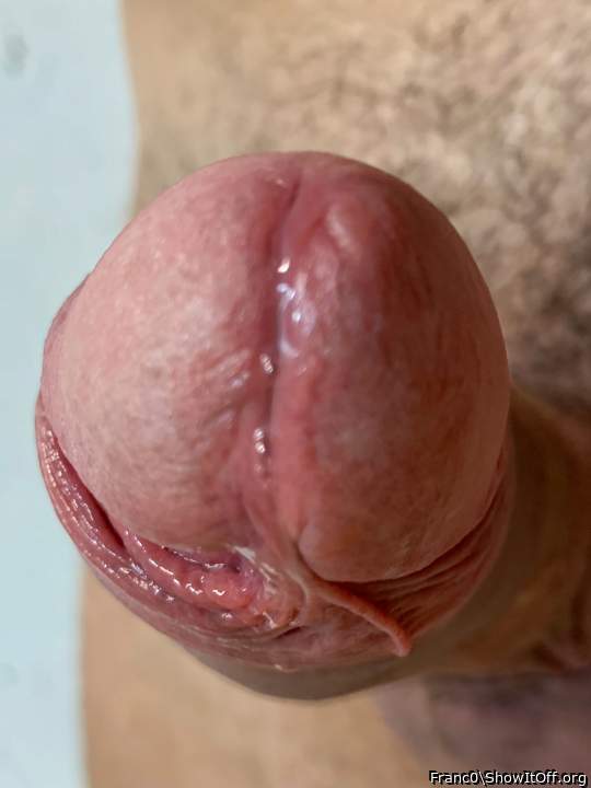 Adult image from Franc0