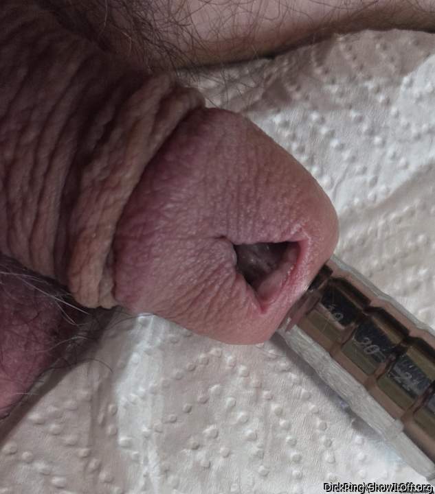 pluged cock