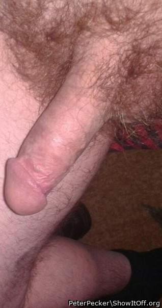 Adult image from PeterPecker