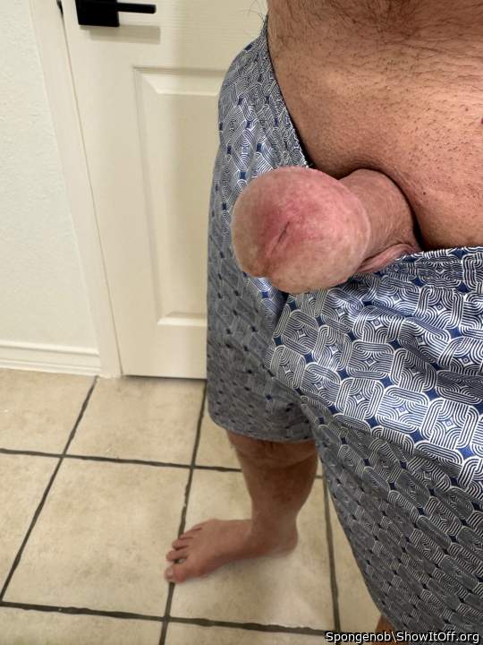 Adult image from Spongenob
