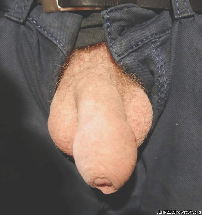 Adult image from 12HP21