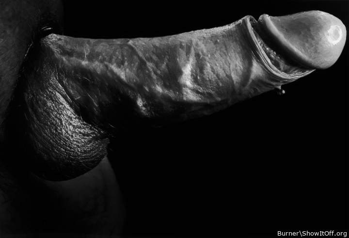 Adult image from Burner