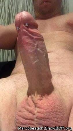 Nice pierced boned up cock buddy!   