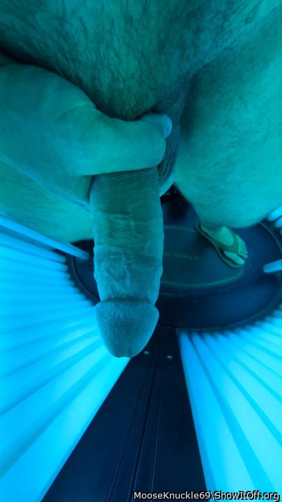 Adult image from MooseKnuckle69