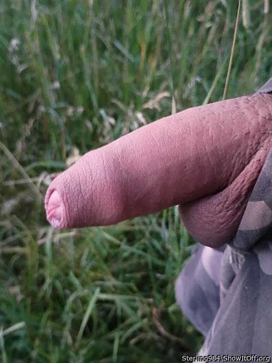 Adult image from Sterling984