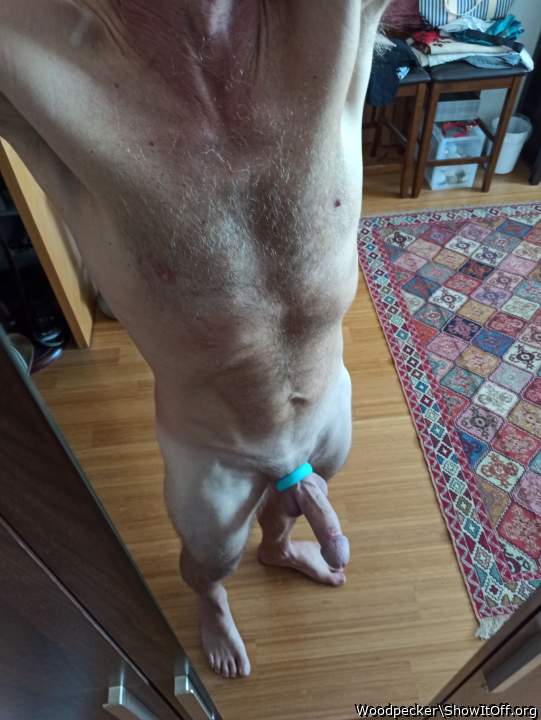 Adult image from Woodpecker