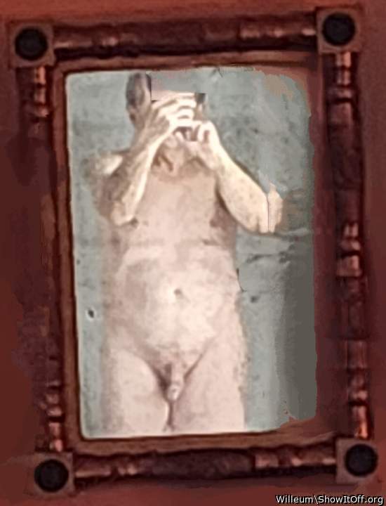 Adult image from Willeum