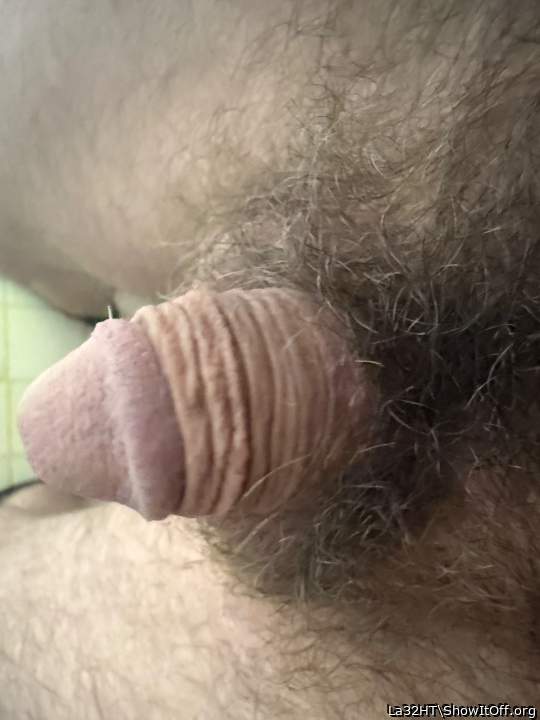 Adult image from La32HT