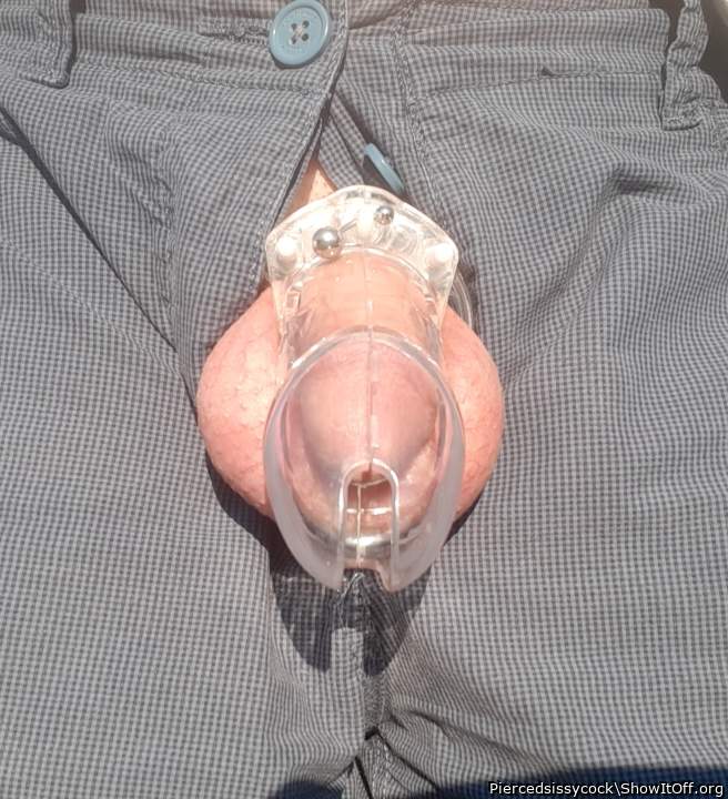 Adult image from Piercedsissycock